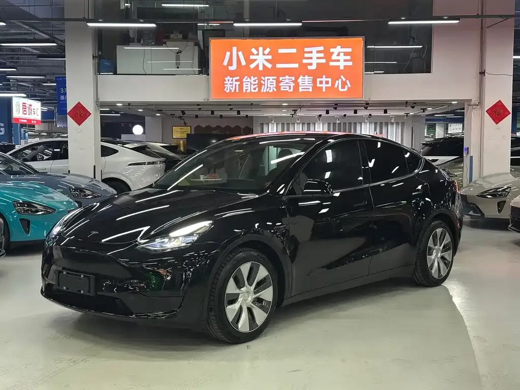 Tesla Model Y — фото 1