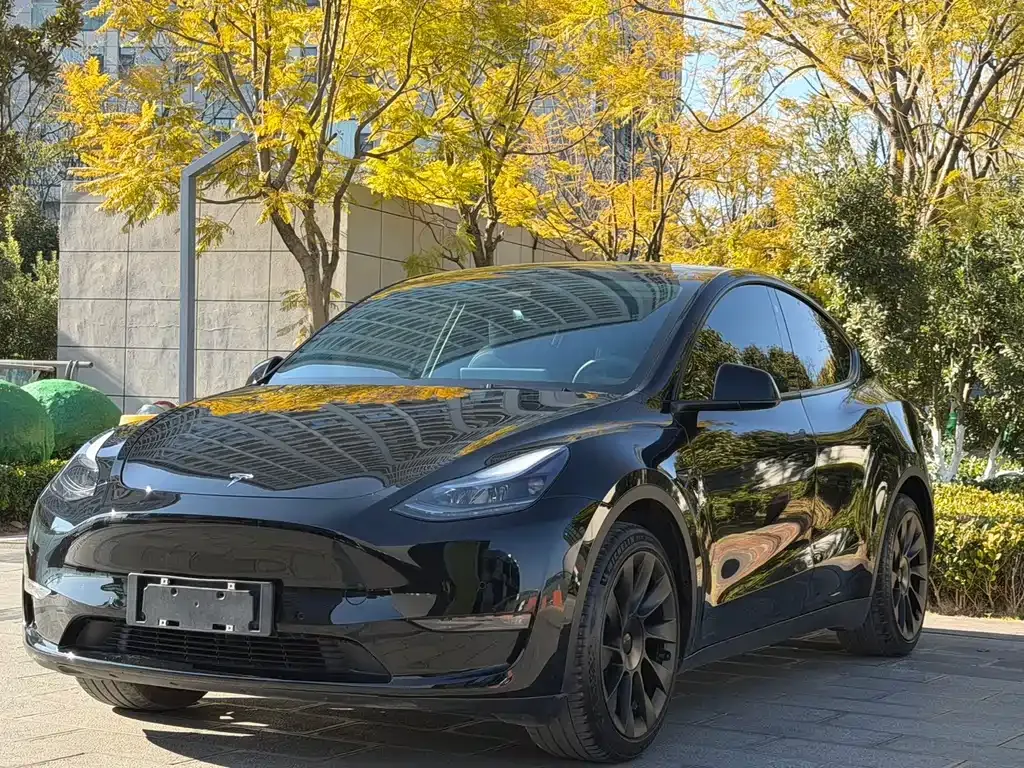 Tesla Model Y 2022 из CN, фото 1