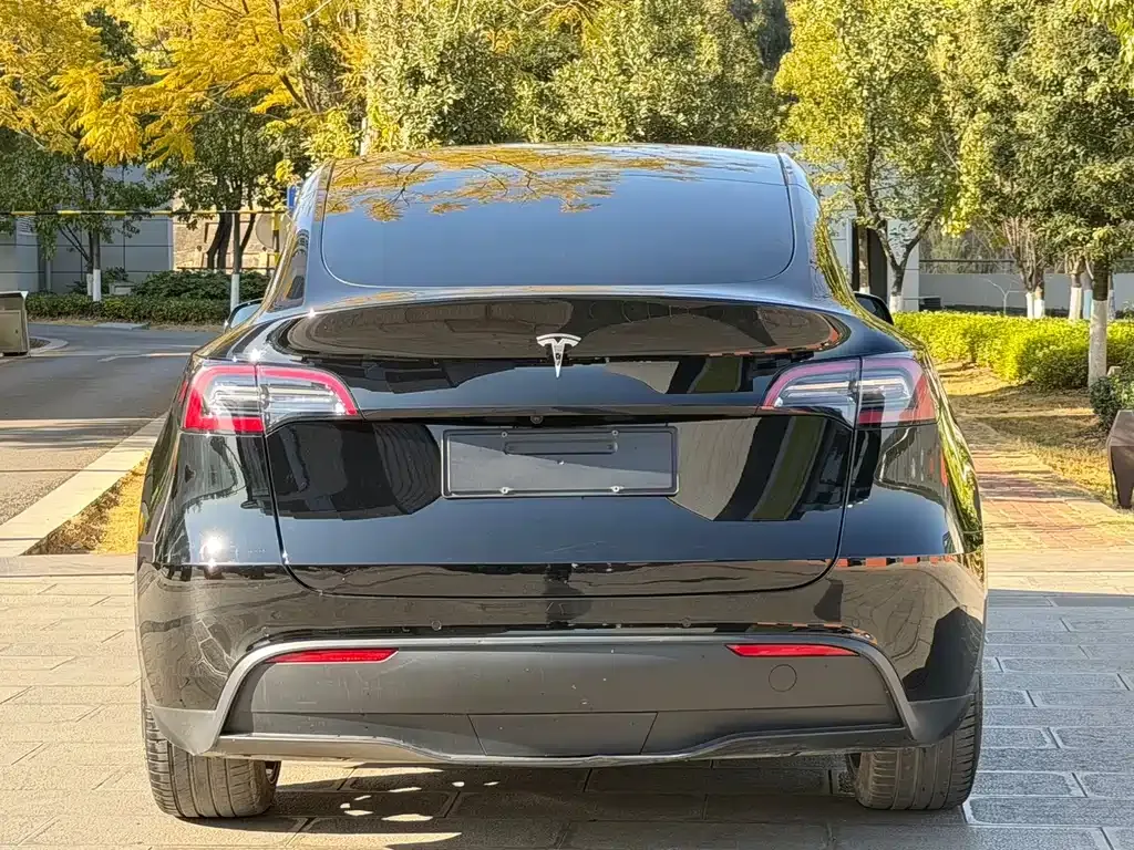 Tesla Model Y 2022 из CN, фото 8