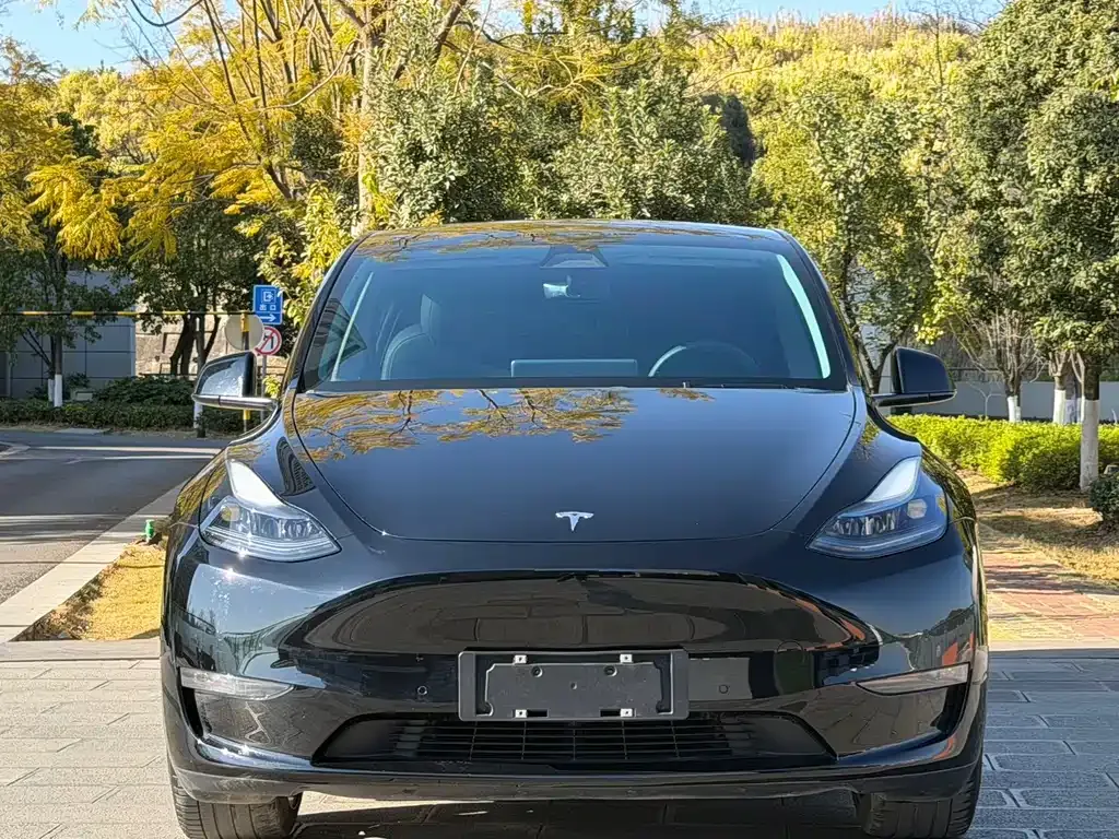Tesla Model Y 2022 из CN, фото 6