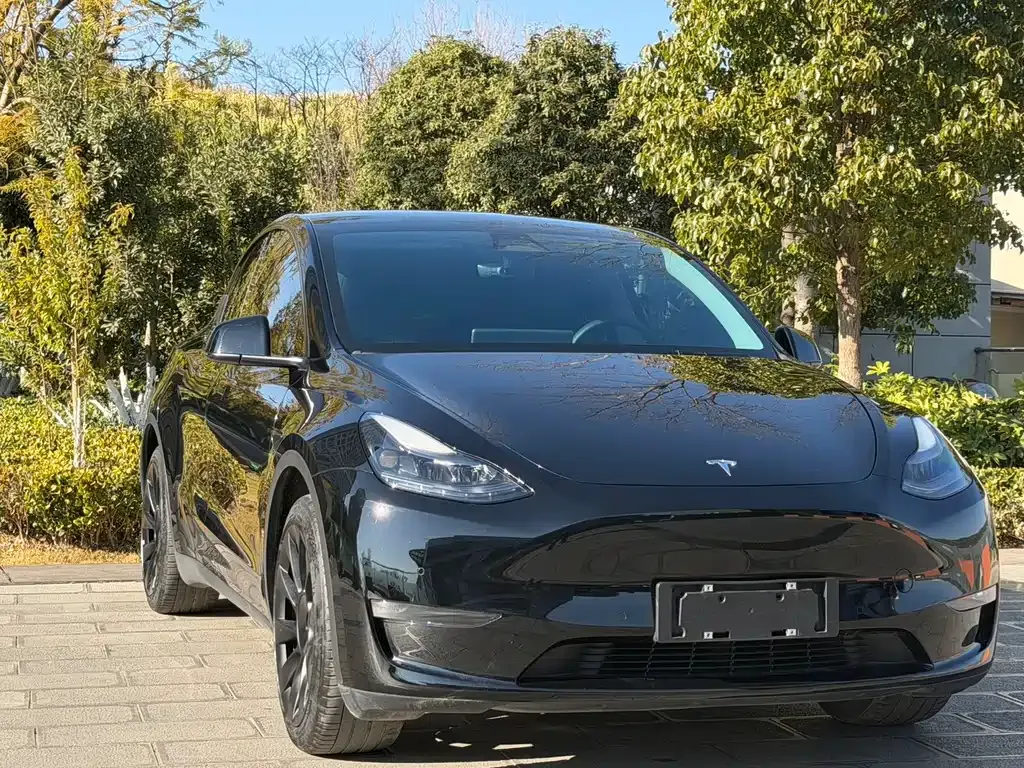Tesla Model Y 2022 из CN, фото 7