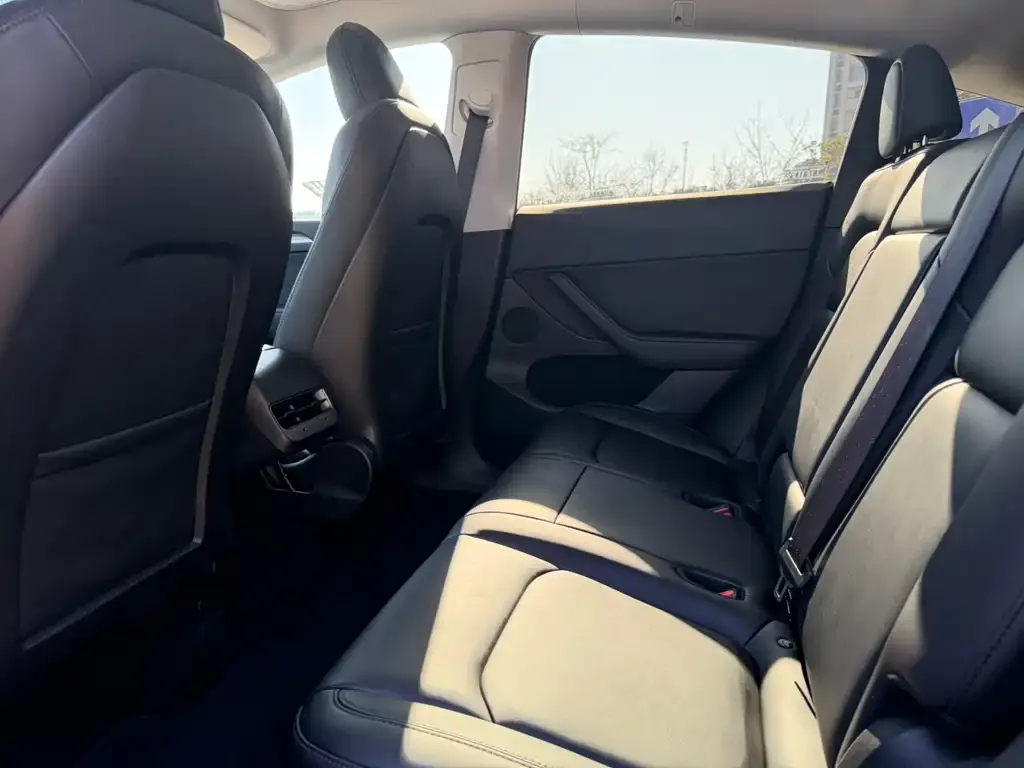 Tesla Model Y 2022 из CN, фото 4