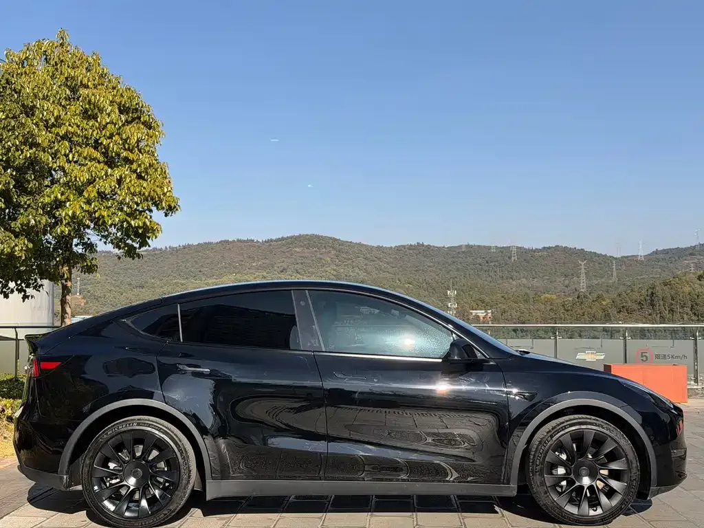 Tesla Model Y 2022 из CN, фото 5
