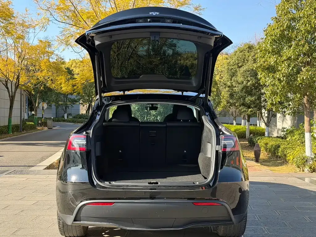 Tesla Model Y 2022 из CN, фото 9