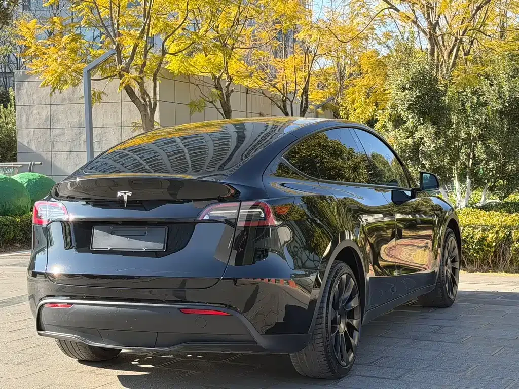 Tesla Model Y 2022 из CN, фото 10