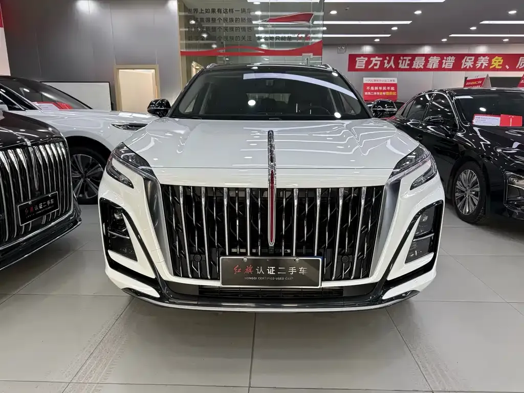 Hongqi HS3 PHEV 2024 из CN, фото 6