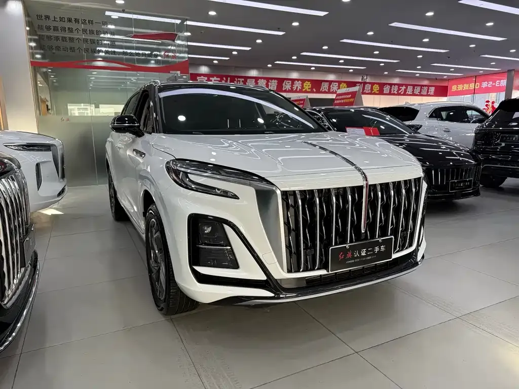 Hongqi HS3 PHEV 2024 из CN, фото 9