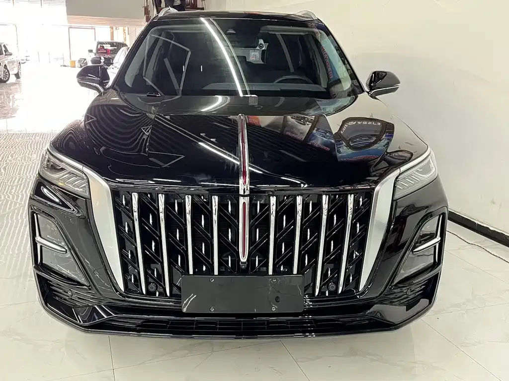 Hongqi HS5 2024 из CN, фото 7