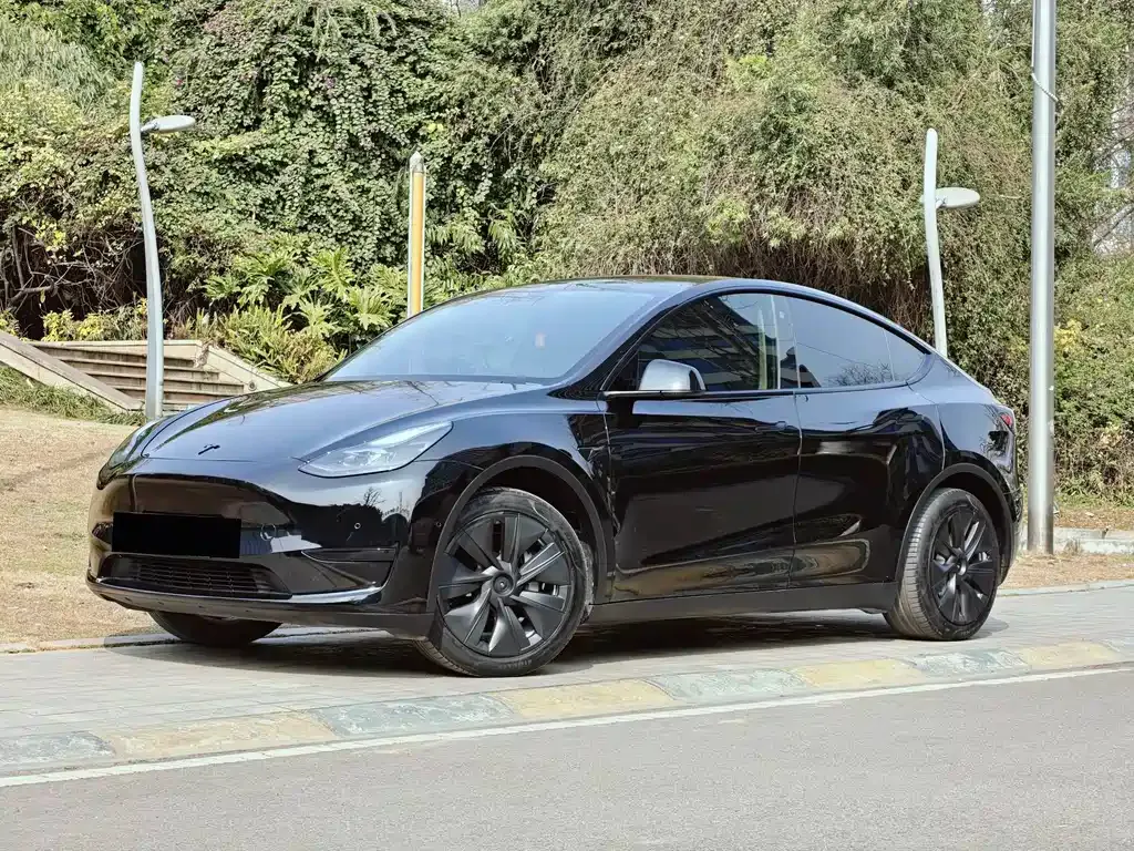 Tesla Model Y 2023 из CN, фото 1