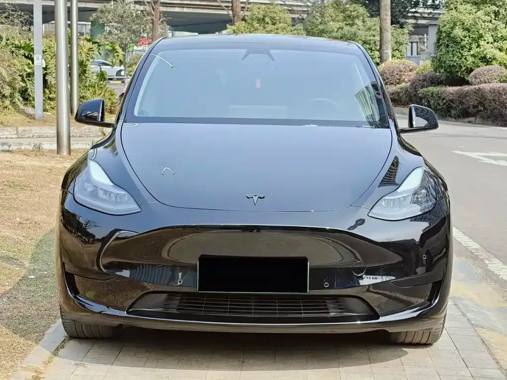 Tesla Model Y 2023 из CN, фото 9