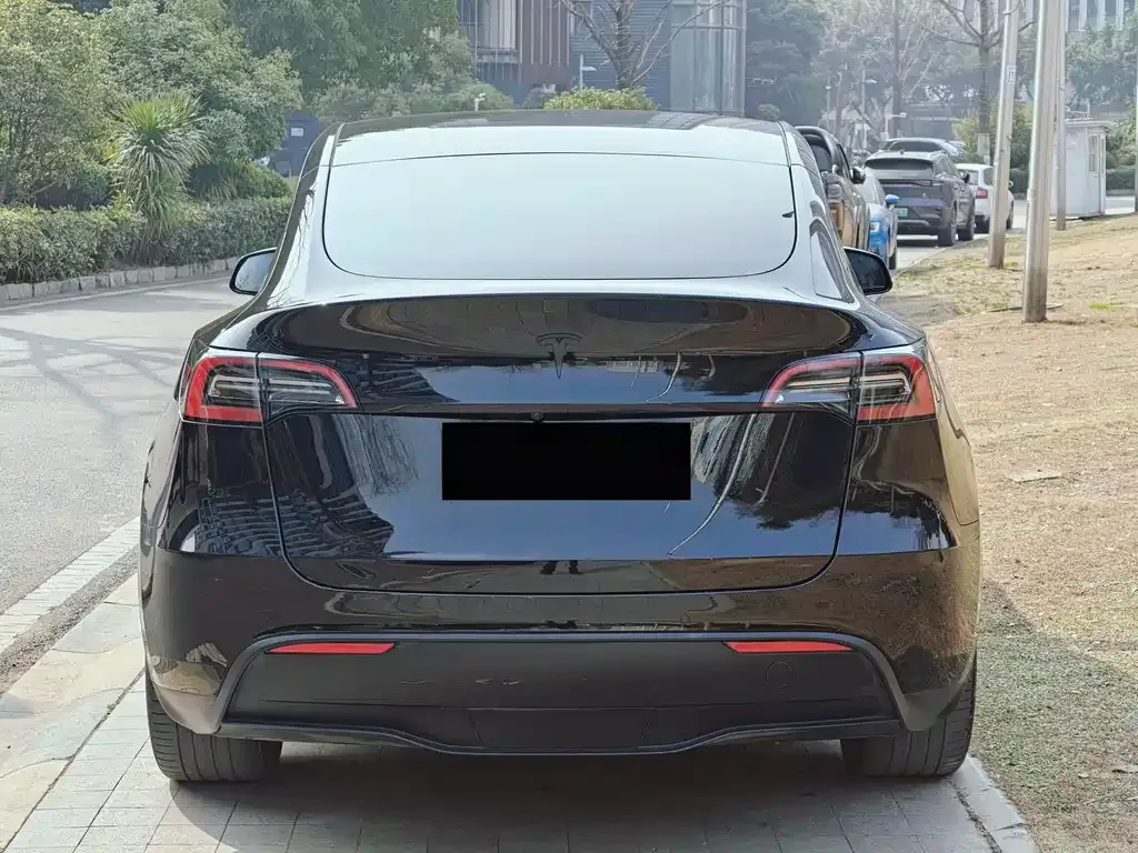 Tesla Model Y 2023 из CN, фото 6