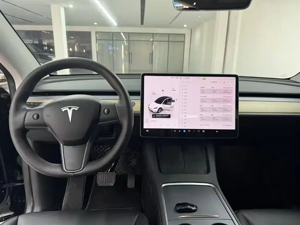 Tesla Model Y 2022 из CN, фото 3