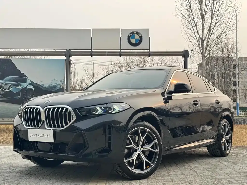 BMW X6 — фото 1