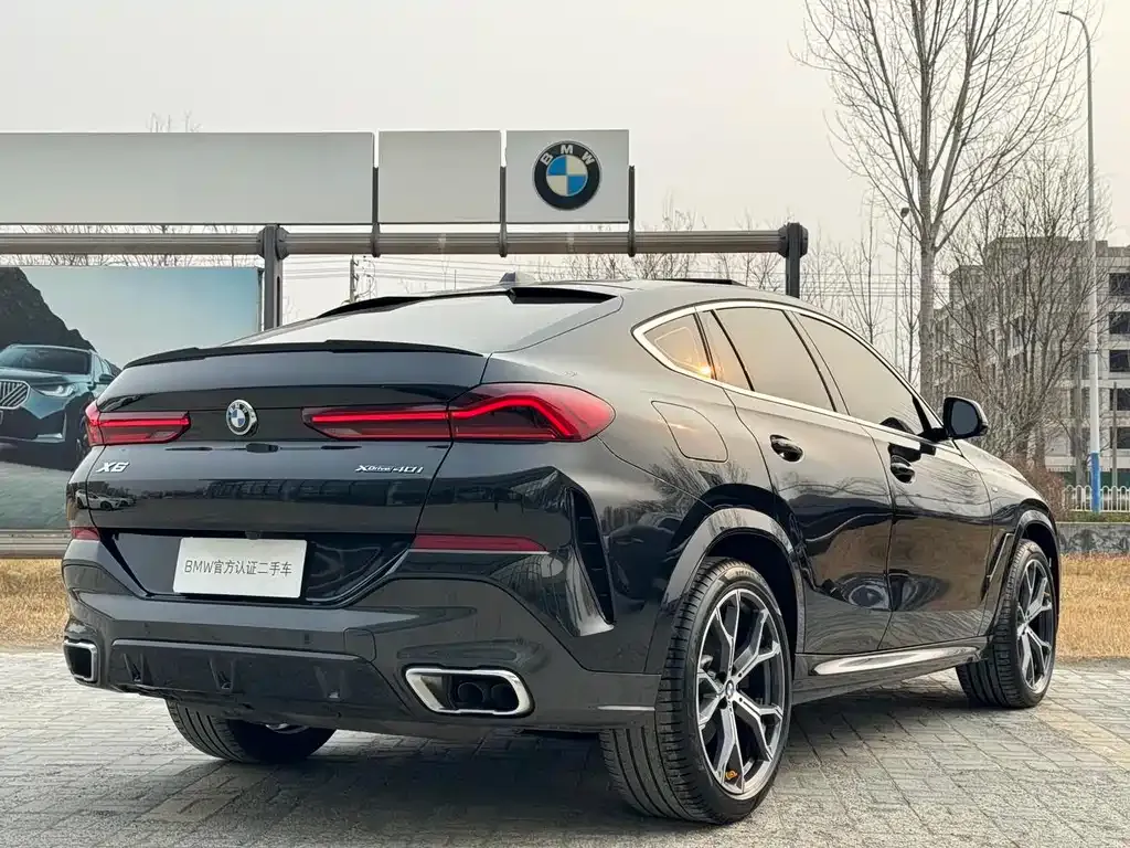 BMW X6 — фото 6