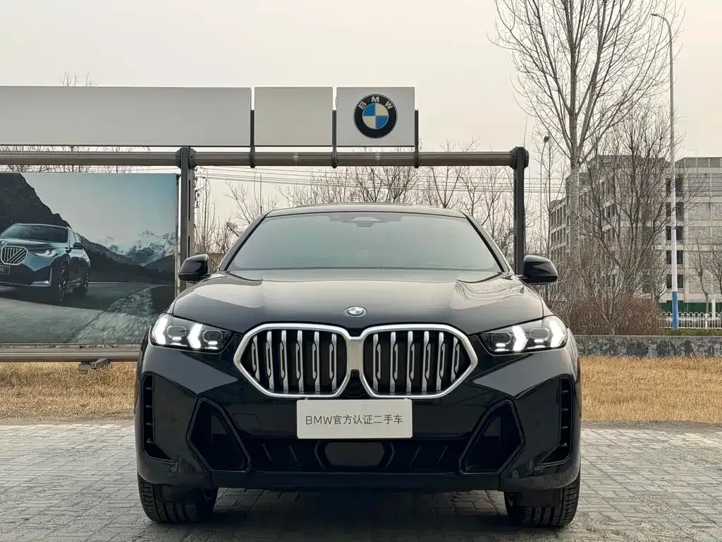 BMW X6 — фото 5