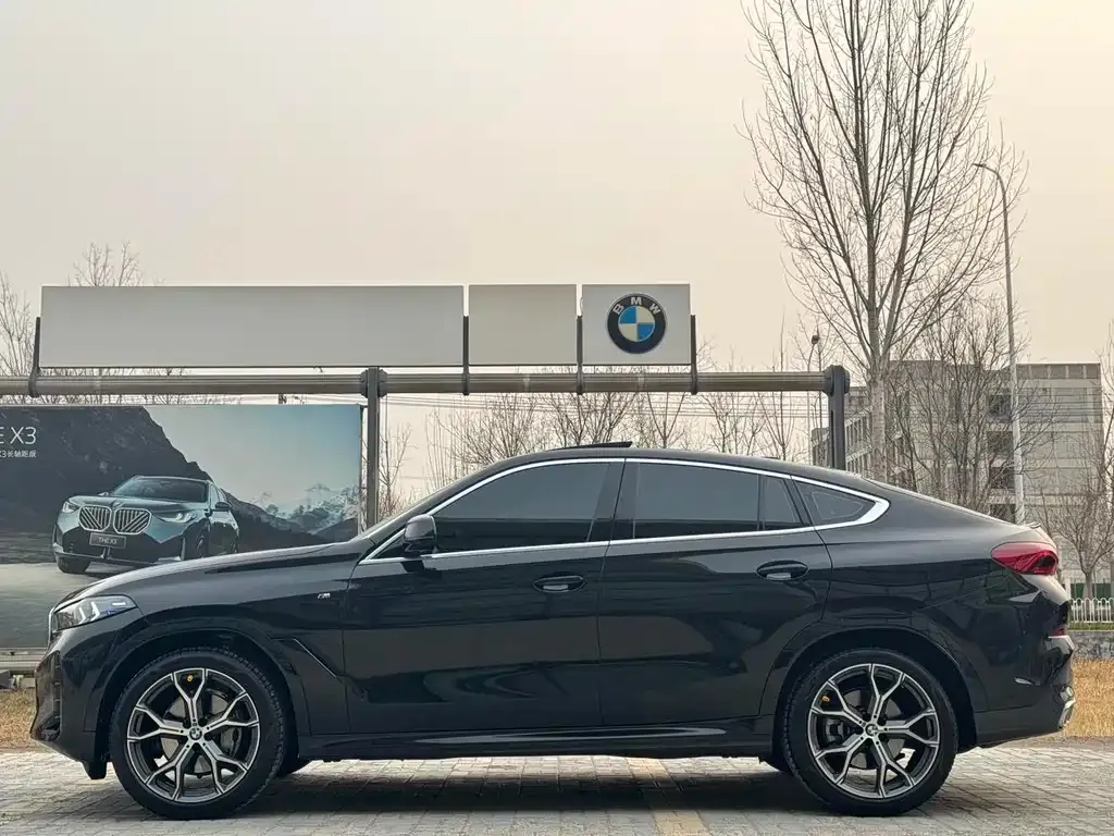 BMW X6 — фото 10