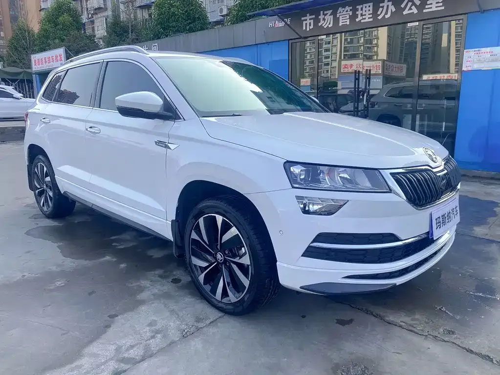 Skoda Karoq 2022 из CN, фото 4