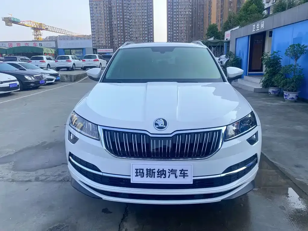 Skoda Karoq 2022 из CN, фото 6