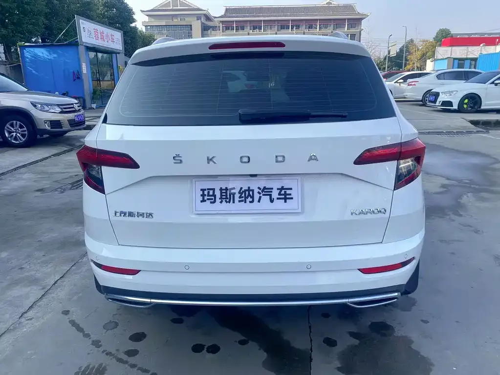 Skoda Karoq 2022 из CN, фото 10