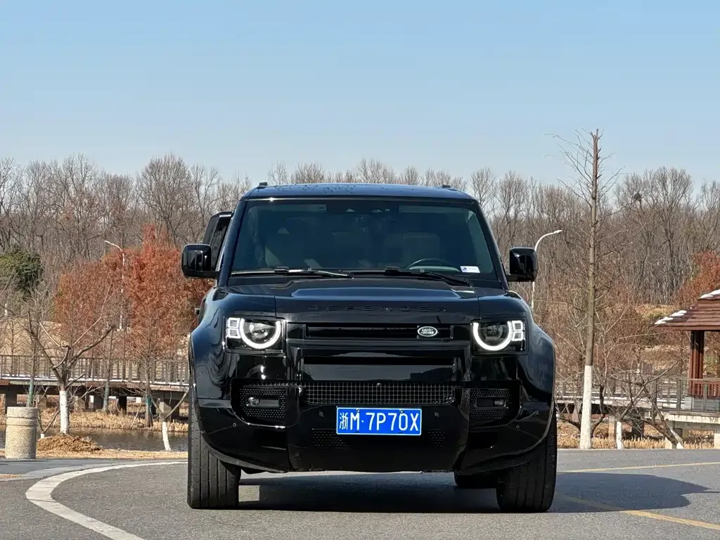 Land Rover Defender 2022 из CN, фото 4