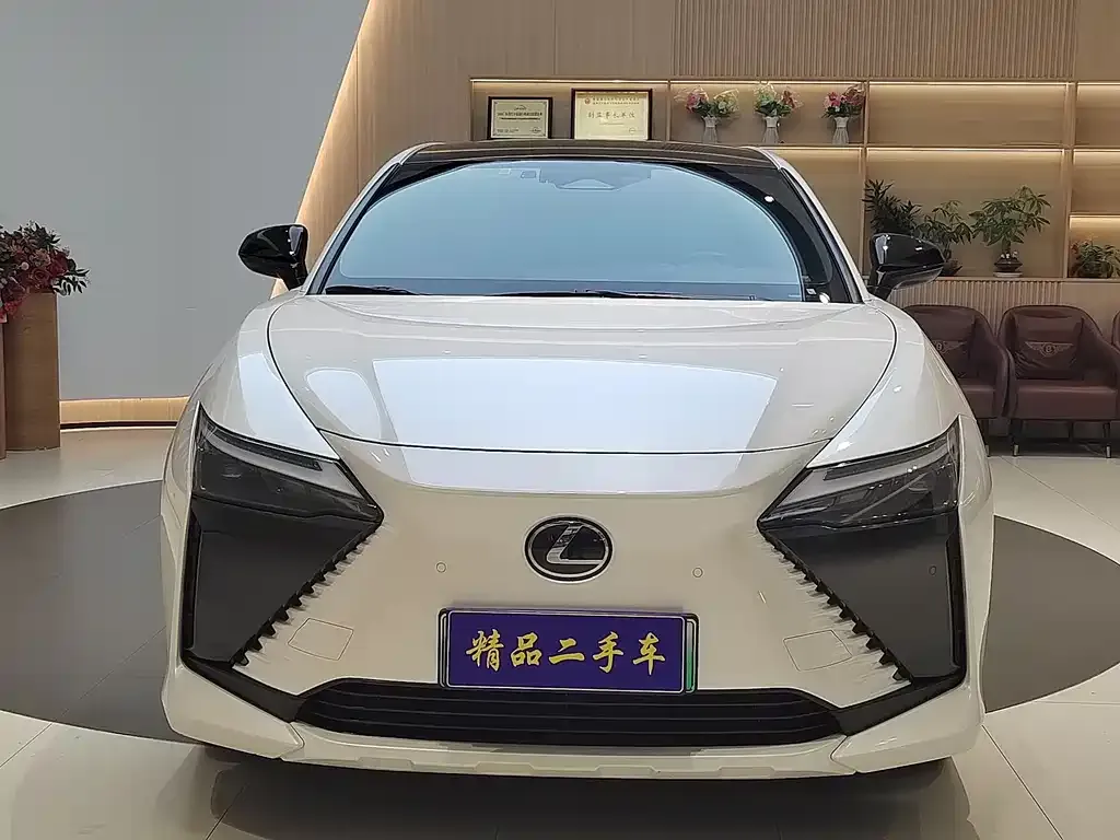 Lexus RZ — фото 8