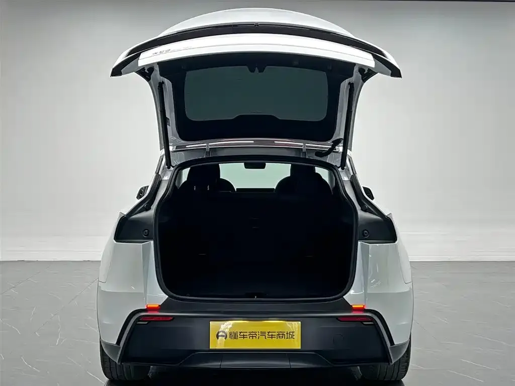 Tesla Model Y — фото 10