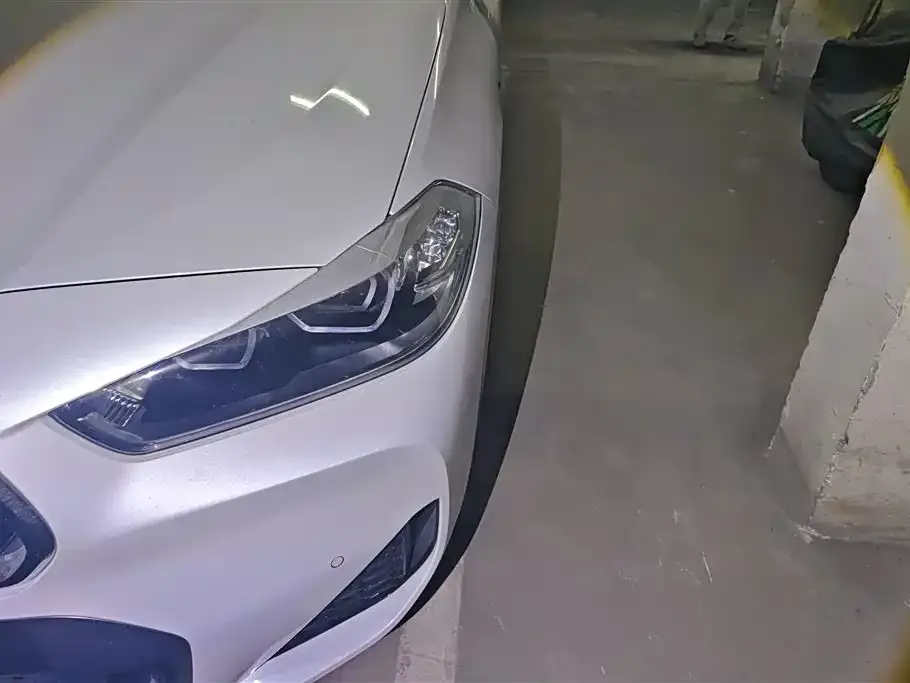 BMW X2 2021 из CN, фото 8