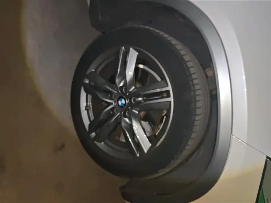 BMW X2 2021 из CN, фото 4