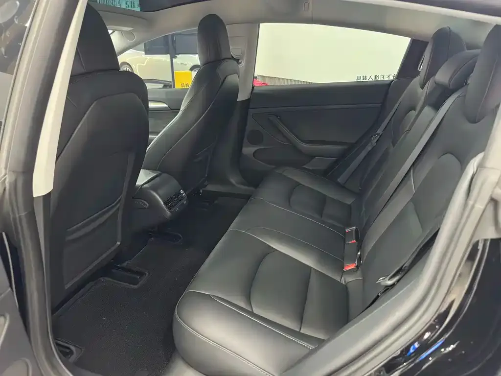 Tesla Model 3 2023 из CN, фото 2