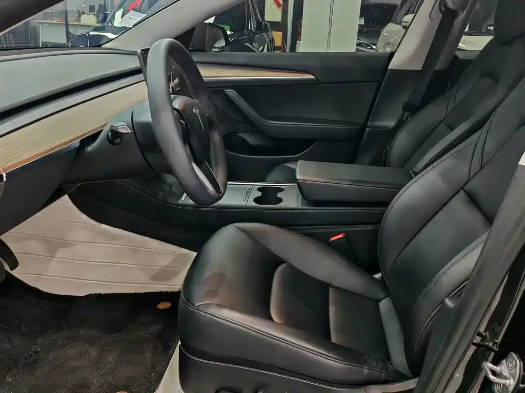 Tesla Model 3 2023 из CN, фото 6