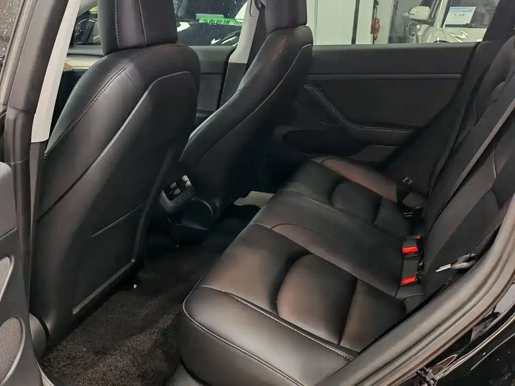 Tesla Model 3 2023 из CN, фото 4