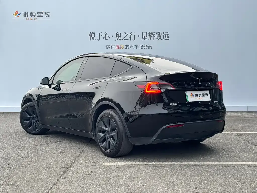 Tesla Model Y 2024 из CN, фото 6