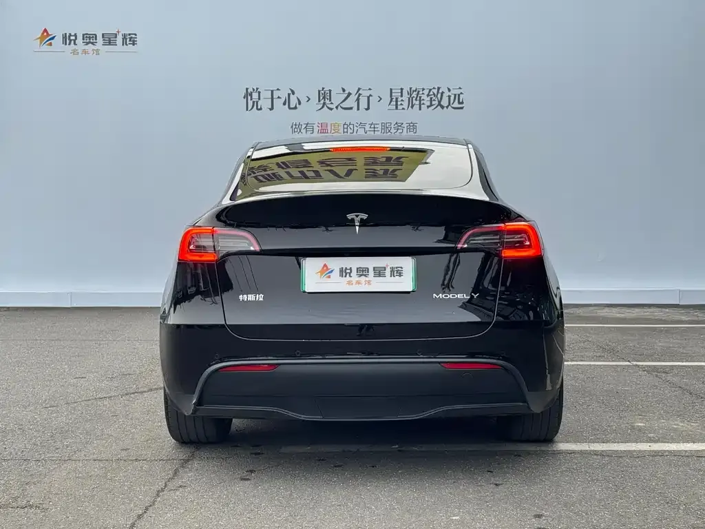 Tesla Model Y 2024 из CN, фото 8