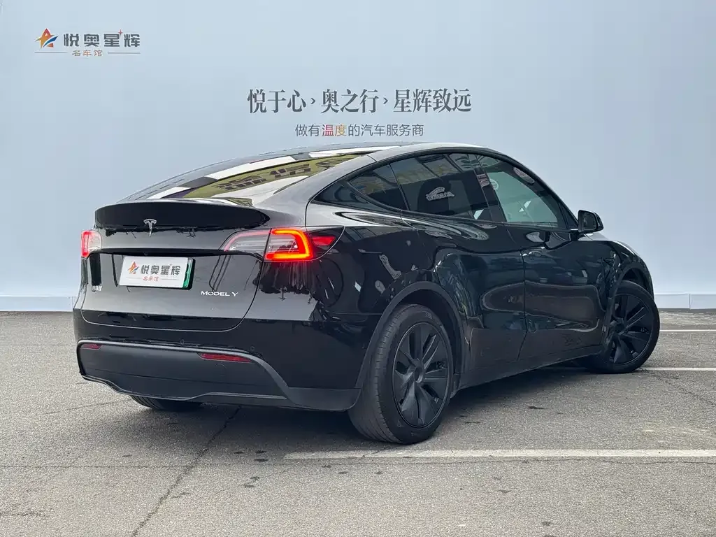 Tesla Model Y 2024 из CN, фото 4