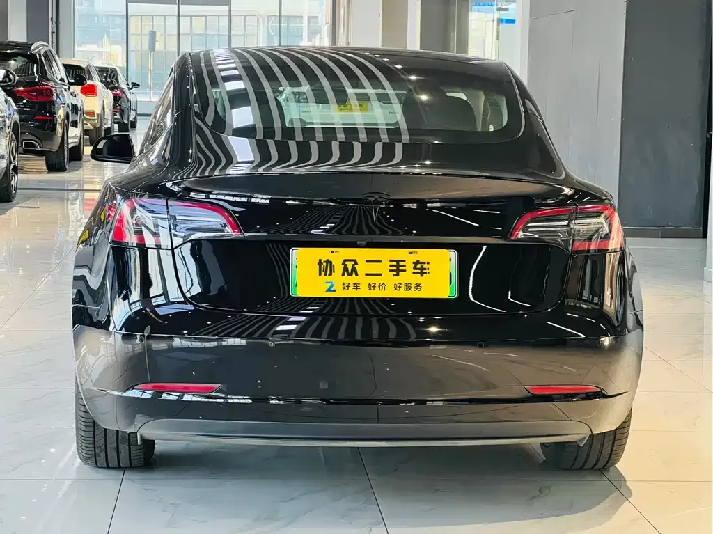 Tesla Model 3 2021 из CN, фото 6