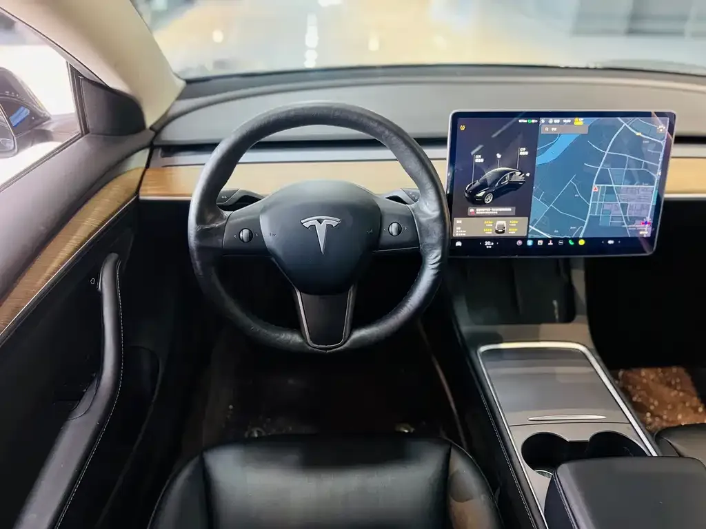 Tesla Model 3 2021 из CN, фото 4