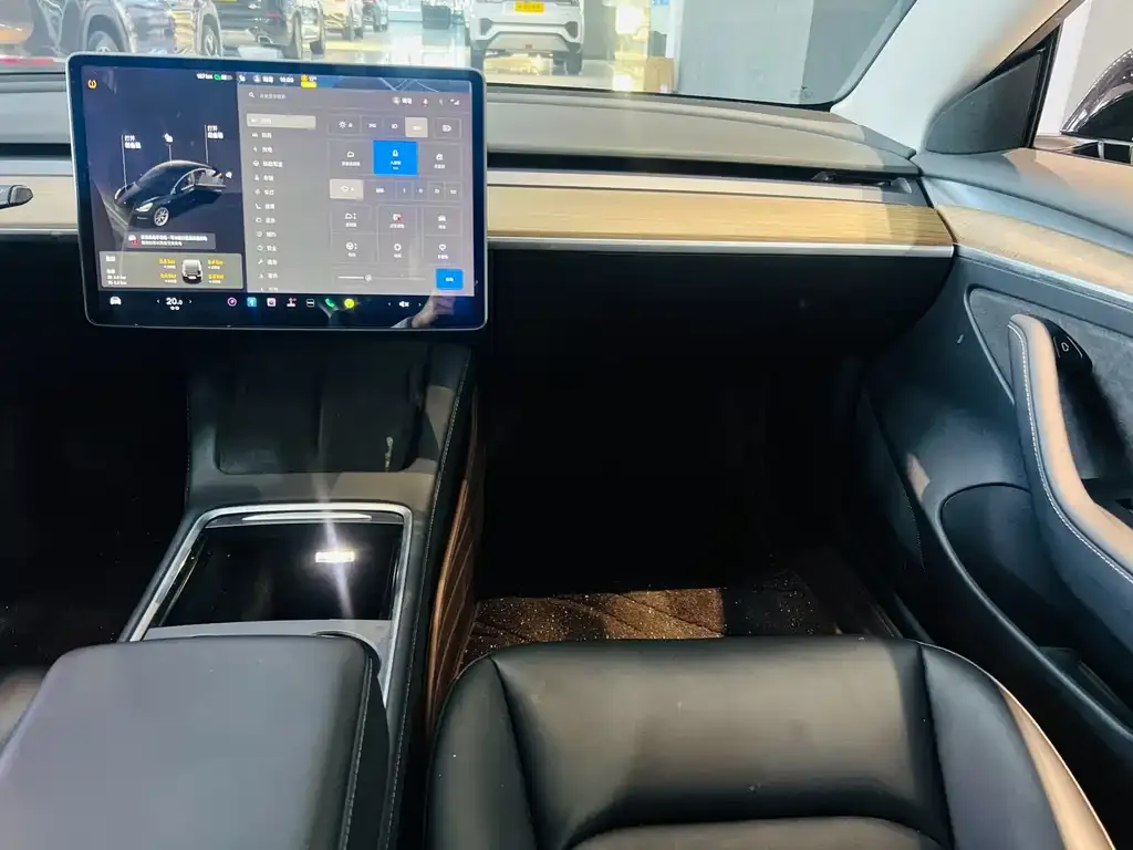 Tesla Model 3 2021 из CN, фото 3