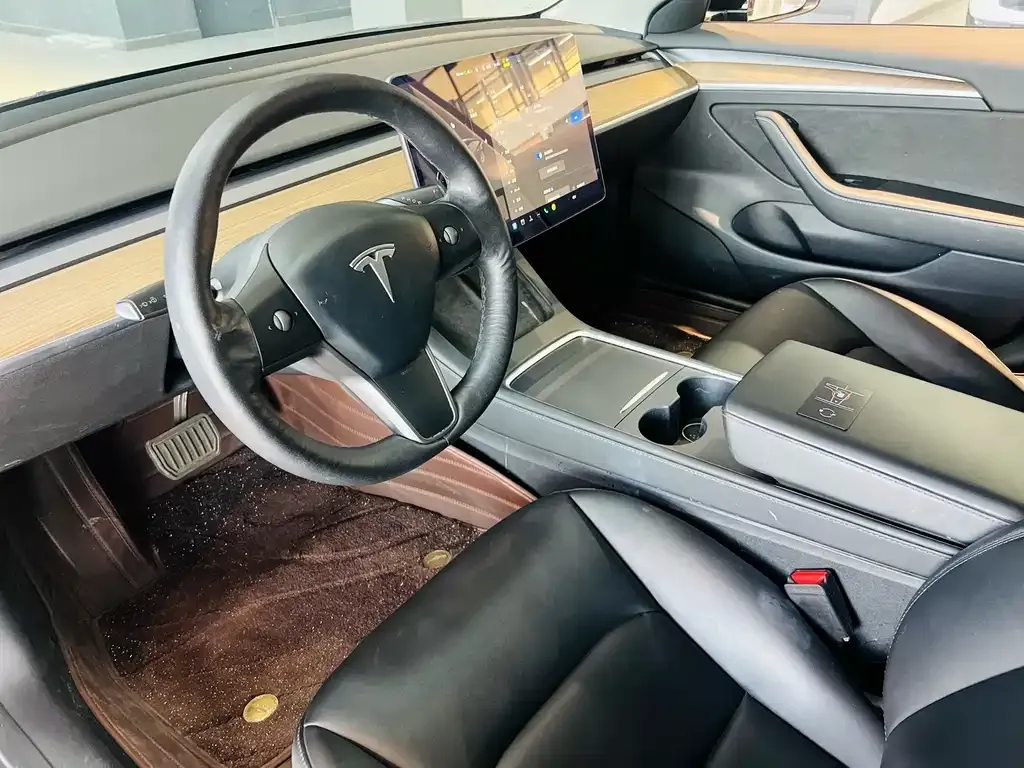 Tesla Model 3 2021 из CN, фото 8