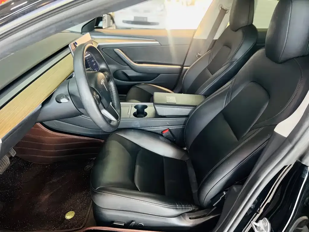 Tesla Model 3 2021 из CN, фото 9
