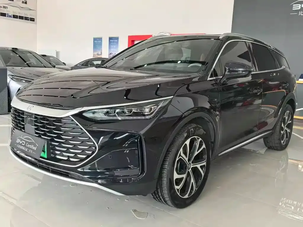 BYD Tang New Energy — фото 1