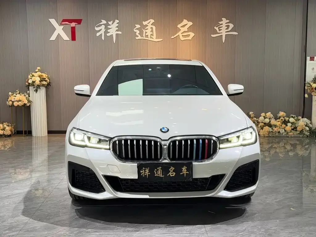 BMW 5 Series 2022 из CN, фото 10
