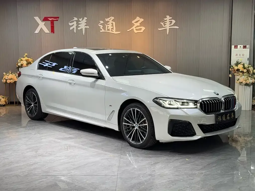 BMW 5 Series 2022 из CN, фото 6