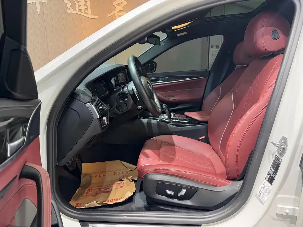 BMW 5 Series 2022 из CN, фото 7