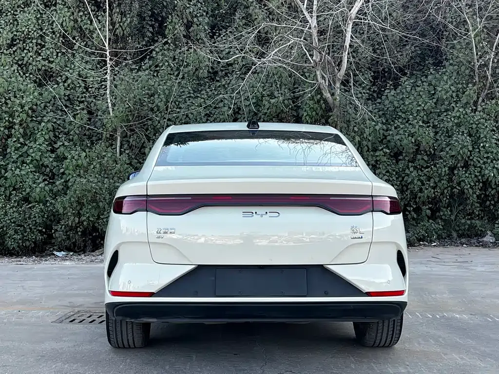 BYD Qin L 2025 из CN, фото 10