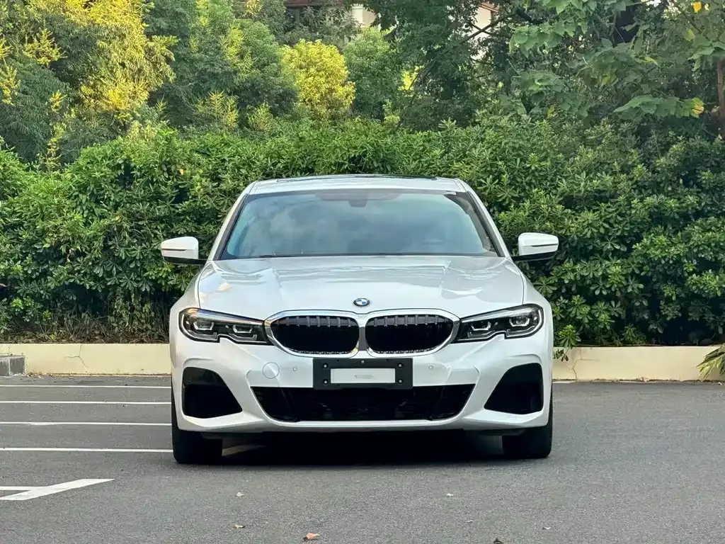 BMW 3 Series 2021 из CN, фото 7