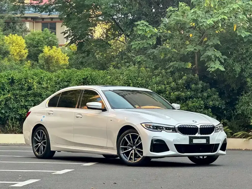BMW 3 Series 2021 из CN, фото 10