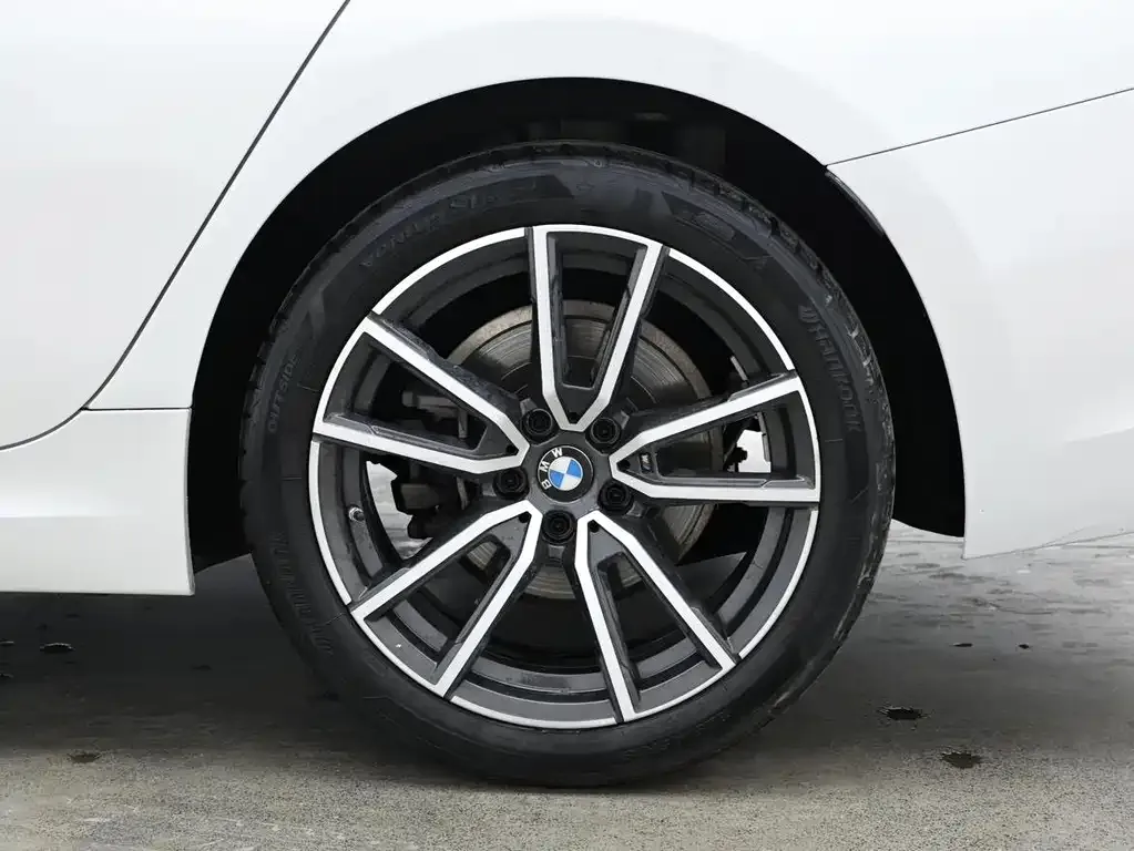 BMW 3 Series 2021 из CN, фото 8