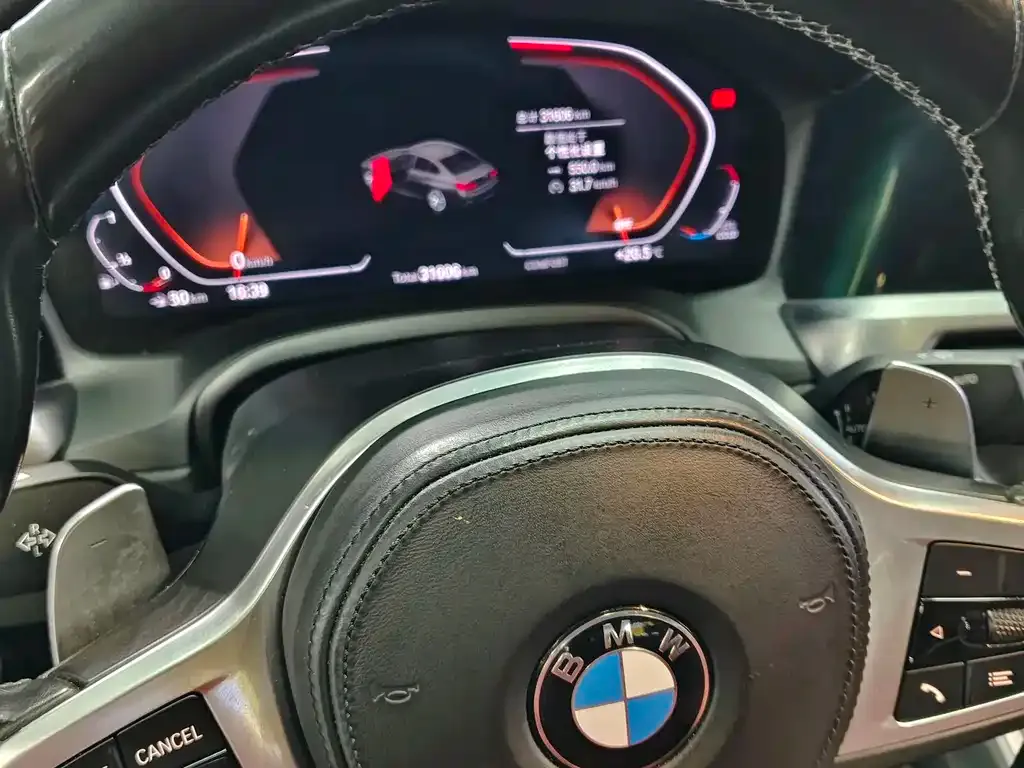 BMW 3 Series 2021 из CN, фото 7