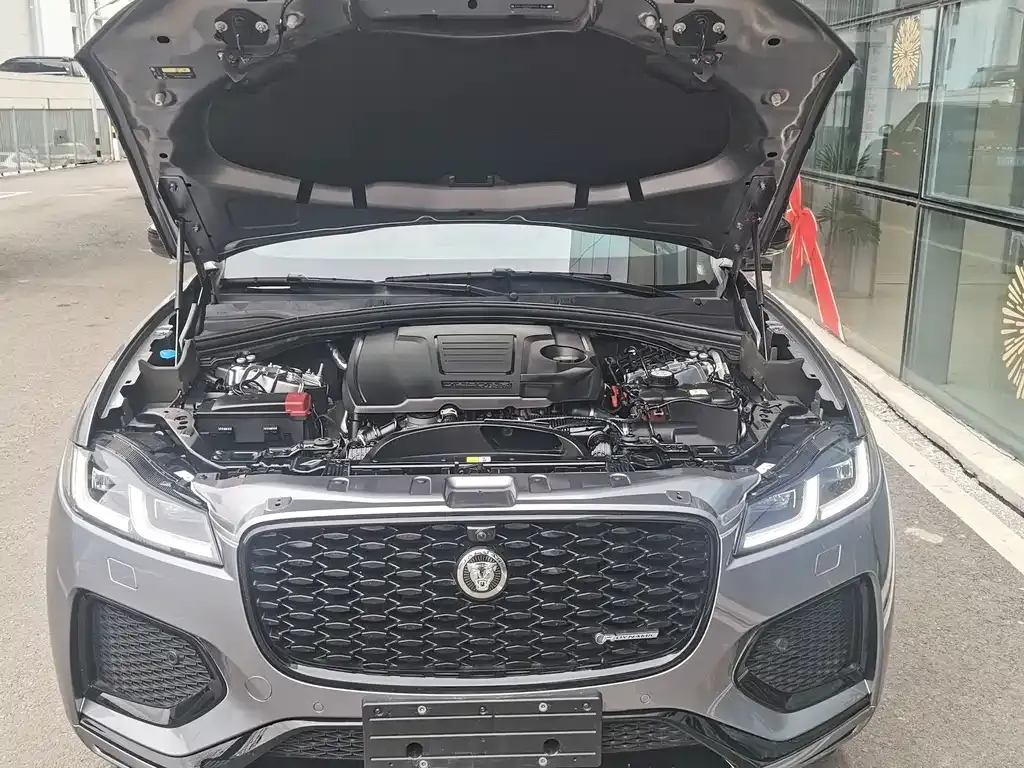 Jaguar F-PACE — фото 10