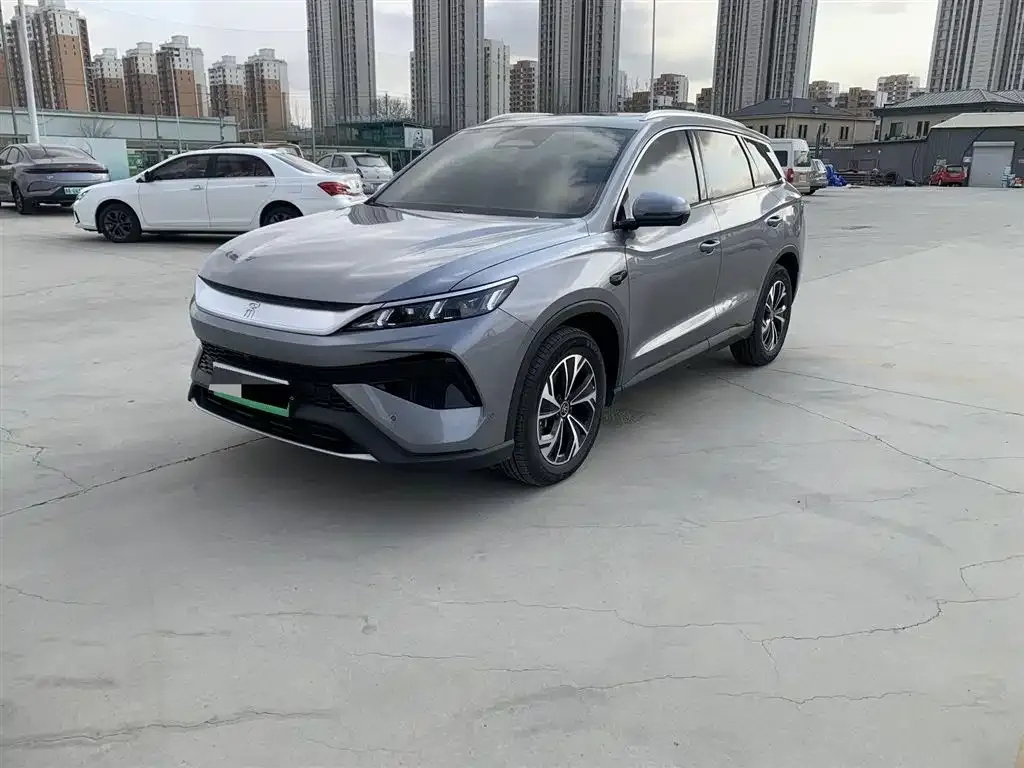 BYD Pro New Energy 2025 из CN, фото 1